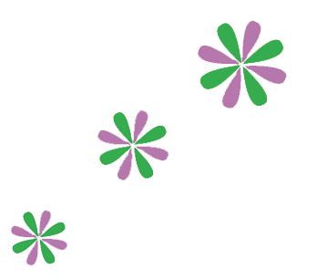 Picture of Purple and Green Flower flower petals